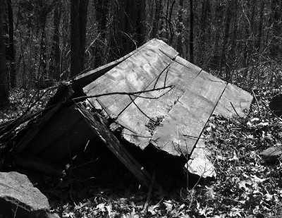 cindy-outhouse